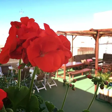 Hostal Summer